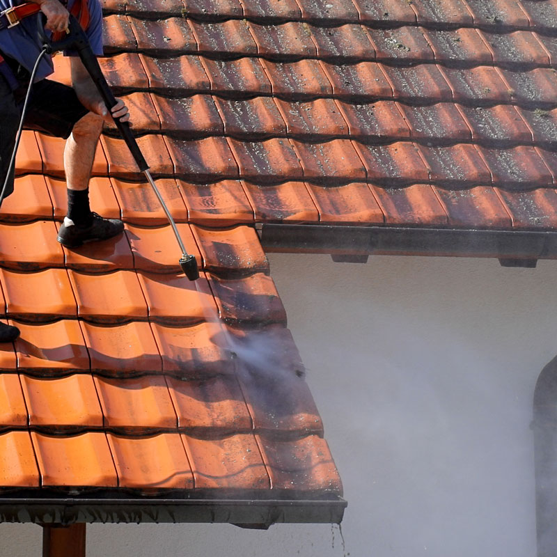 Spruce: Services & Solutions | Greenville, SC, Asheville, NC, Columbia, SC, Charleston, SC | Residential Roof Cleaning